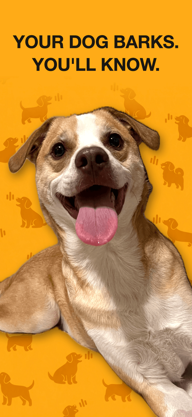 BarkWatch hero: your dog barks, you'll know